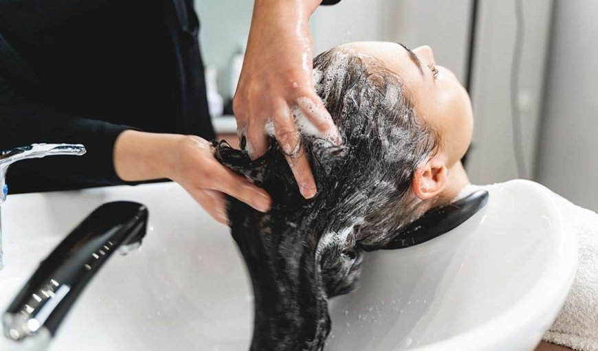 Hair Care: बालों का रखना है नेचुरली ख्याल तो हर्ब्स की मदद से बनाएं ये आयुर्वेदिक शैम्पू