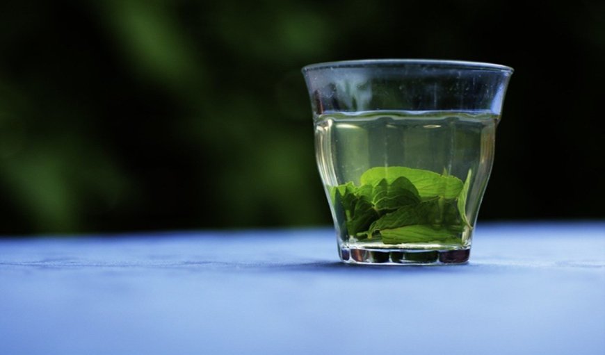 Green Tea Shot: घर पर आसानी से बनाकर तैयार करें ग्रीन टी शॉट, नोट कर लें रेसिपी