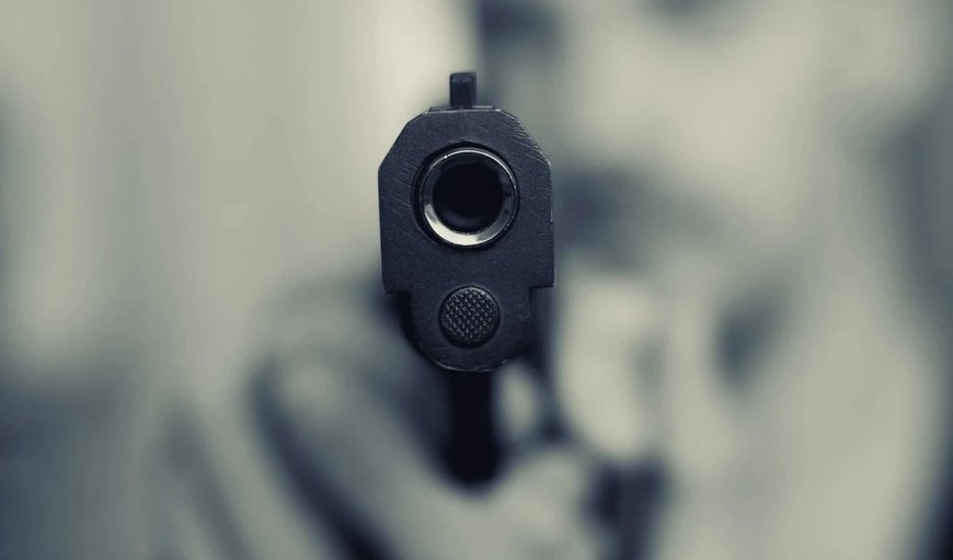 मेक्सिको के पार्क में गोलीबारी के मामले में तीन लोग गिरफ्तार