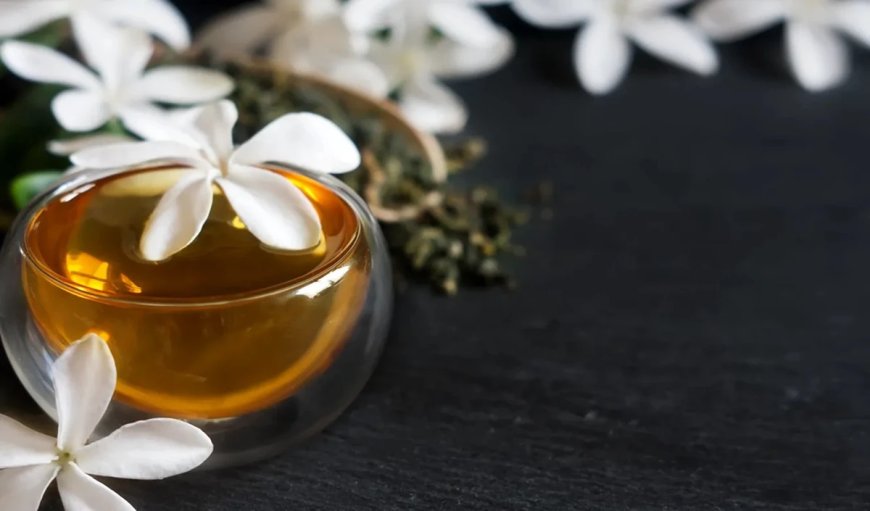 Jasmine Oil: गर्मियों में रूटीन में ऐसे शामिल करें चमेली का तेल, ताजगी से भरपूर होगी आपकी सुबह