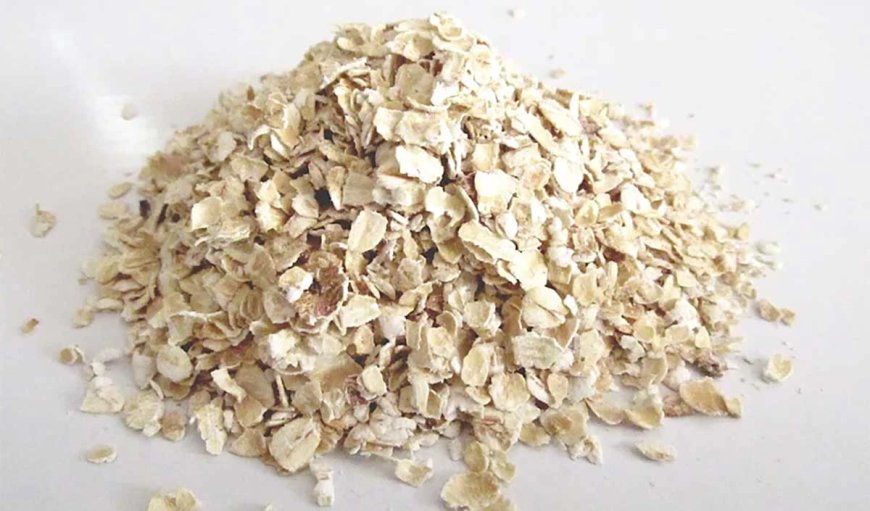Health Tips: ओट्स को रोज़ाना नाश्ते में खाना हो सकता है नुकसानदायक, जानिए क्यों