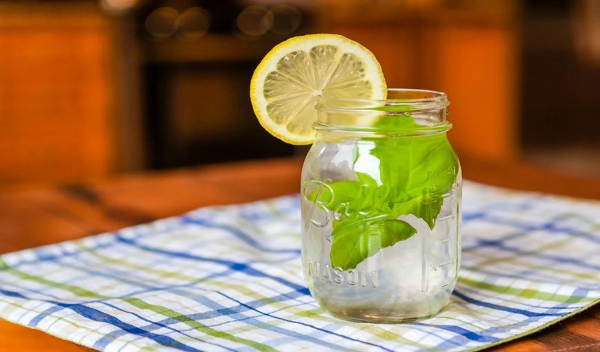 Health Tips: बॉडी में जमे टॉक्सिन्स को बाहर निकाल देंगे ये हेल्दी ड्रिंक्स, डाइट में जरूर करें शामिल