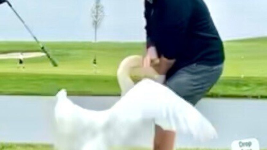 'Golf can be dangerous!': Donald Trump shares bizarre image of 'attack' at Bedminster