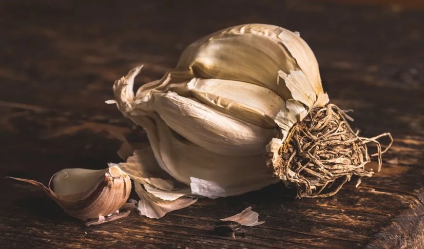 How to Store Garlic: यहां जानिए लहसुन को स्टोर करने का सही तरीका, लंबे समय तक रहेगा फ्रेश