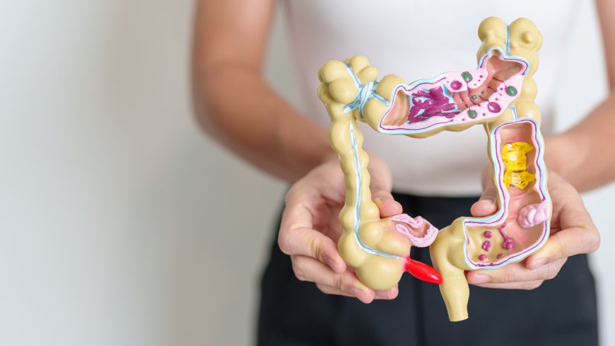 Harvard doctor says THIS simple habit can boost gut health