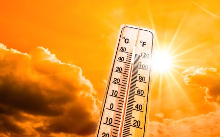 Heatwave in North India: 5 essential tips to follow