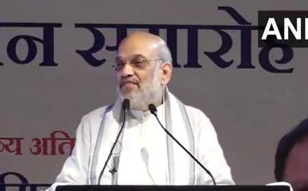 छत्तीसगढ़: गृह मंत्री शाह की नक्सलियों को कड़ी चेतावनी, 'हथियार डाल दो, नहीं तो बारिश में भी सोने नहीं देंगे'