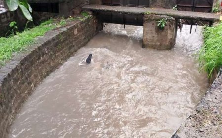 हल्द्वानी में बारिश का अलर्ट, नागरिकों को दी गई आवश्यक सलाह