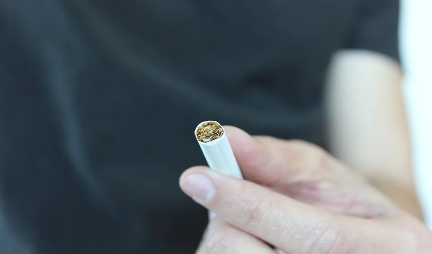 Harms of Tobacco: शरीर के अंगों को खराब कर देती है तंबाकू की लत, महिलाओं और पुरुषों दोनों के लिए खतरनाक