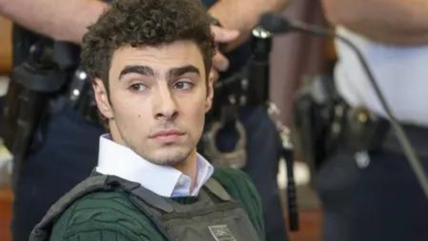 Luigi Mangione's diary unveiled: UnitedHealthcare CEO murder plot revealed in court; wrote ‘insurance checks every box’