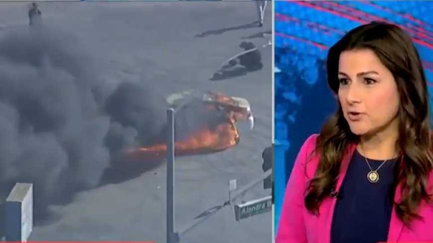 'How dumb can she be?' Democrats' claim of 'peaceful' LA protests invites backlash; TV shows burning cars