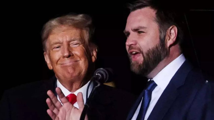 'Menswear Guy' admits amid LA riots he's in US illegally, JD Vance responds with a GIF