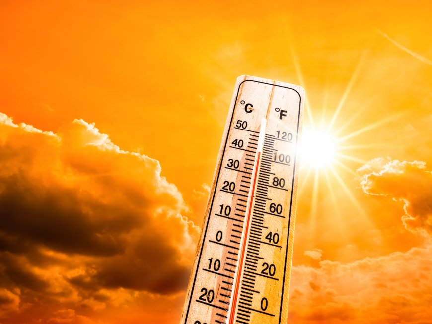Heatwave in North India: 5 essential tips to follow