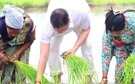 खटीमा: मुख्यमंत्री पुष्कर धामी ने धान रोपाई कर किसानों को बताया राष्ट्र का निर्माता