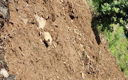 कांग्रेस का आरोप: मानसून में पंचायत चुनाव कराना जनता की जान को खतरे में डालना है