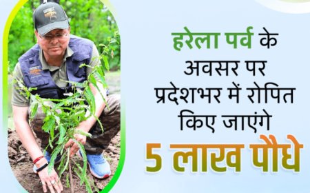 हरेला पर्व 2023: एक दिन में होंगे पांच लाख पौधों का रोपण, पर्यावरण के प्रति जागरूकता बढ़ाने की पहल