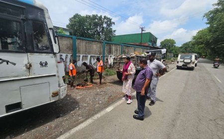 हल्द्वानी: नगर आयुक्त ऋचा सिंह ने मंडी बाईपास पर विशेष सफाई और पौधारोपण अभियान की शुरुआत की