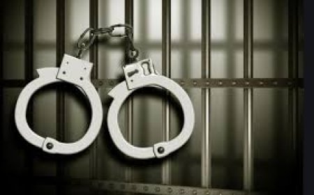 फर्जी बीएड डिग्री धारक शिक्षक को कोर्ट ने सुनाई पांच साल की सजा