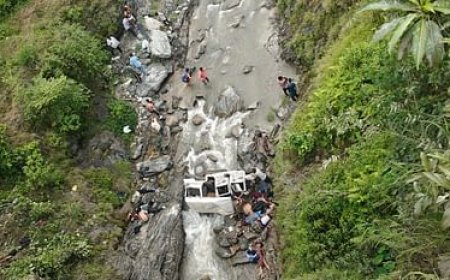 उत्तराखंड में दर्दनाक सड़क हादसा: गहरी खाई में गिरी मैक्स, 8 की मौत, दो बच्चे शामिल