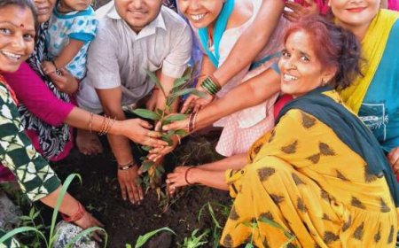 हल्द्वानी: हरेला पर्व पर दीपांशु शर्मा ने पर्यावरण की सेवा में उठाया कदम, “एक पेड़ माँ के नाम” अभियान में किया पौधारोपण