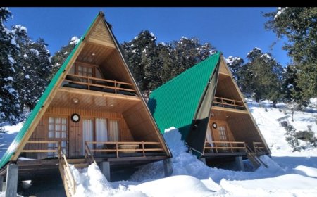 मुन्स्यारी ईको हट्स घोटाला: उत्तराखंड वन विभाग की नई चुनौती