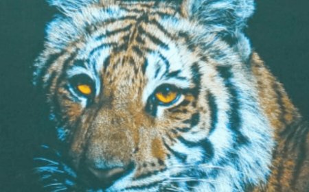 उत्तराखंड में टाइगर प्रोटेक्शन फोर्स में अग्निवीरों की नियुक्ति का ऐतिहासिक फैसला