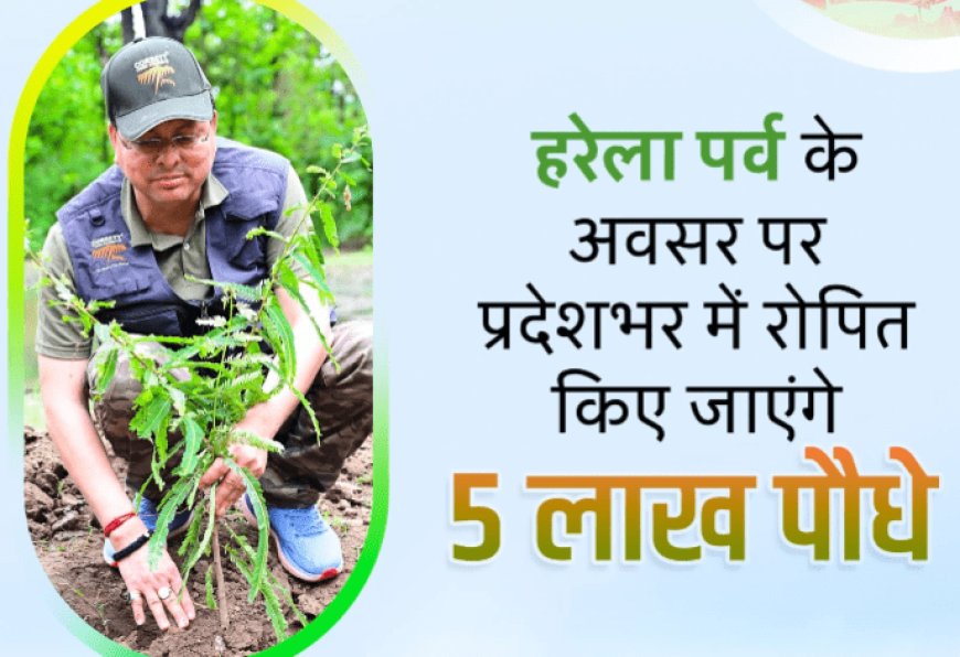 हरेला पर्व- एक ही दिन में रोपे जाएंगे रिकार्ड पांच लाख पौधे