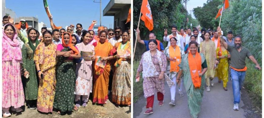 हल्द्वानी: जिला पंचायत सदस्य प्रत्याशी बेला तोलिया ने रामपुर लामाचौड़ में किया चुनाव प्रचार