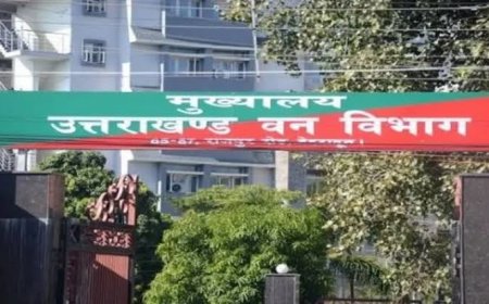 उत्तराखंड में आईएफएस अधिकारियों का बड़ा ट्रांसफर: लिस्ट जारी, बदलावों का दौर शुरू