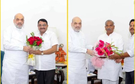 दिल्ली दौड़ में बीजेपी विधायकों की हलचल, मंत्रिमंडल विस्तार की समीकरणों पर चर्चा