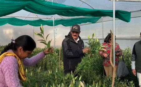 मातृशक्ति ने लिलियम की खुशबू से एक नई पहचान बनाई