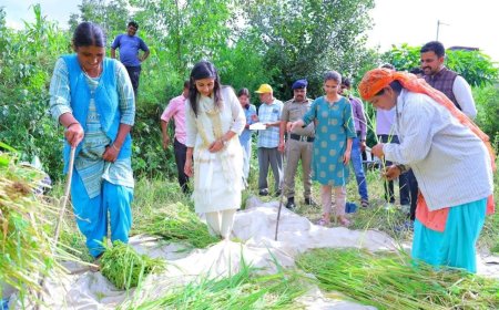 धान की कटाई में जिलाधिकारी की भागीदारी: ग्रामीण विकास के लिए उठाया कदम
