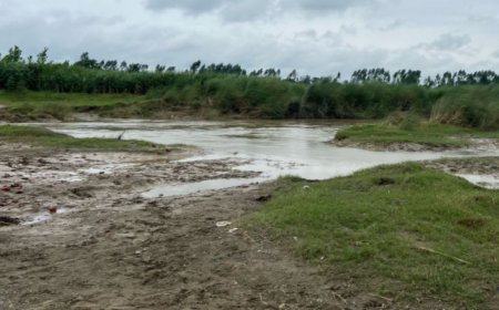 अवैध खनन विवाद: विधायक पांडे के आरोपों की जांच, साबित हुई शून्य गड़बड़ी