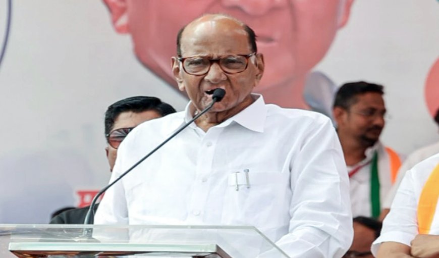 उपराष्ट्रपति चुनाव में किसका साथ देंगे शरद पवार? फडणवीस के अनुरोध के बाद आया यह जवाब