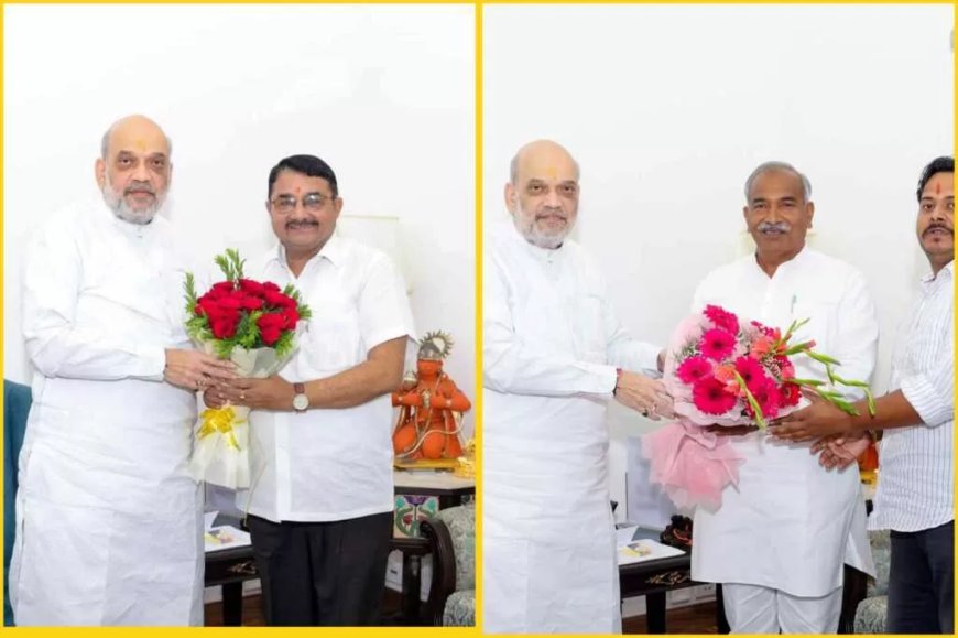 दिल्ली दौड़ में बीजेपी विधायकों की हलचल, मंत्रिमंडल विस्तार की समीकरणों पर चर्चा
