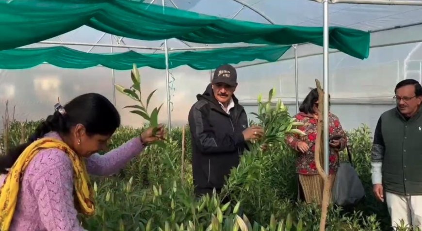 मातृशक्ति ने लिलियम की खुशबू से एक नई पहचान बनाई