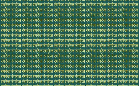 ऑप्टिकल इल्यूजन: रंगरेज की भीड़ में छिपा रंगतेज, क्या आप इसे खोज पाएंगे?