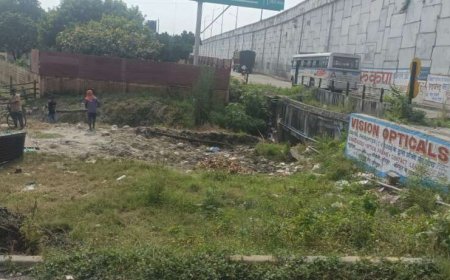 हरिद्वार: डीएम के निर्देश पर अवैध अतिक्रमण के खिलाफ कार्रवाई, मूंगफली विक्रेताओं की रातोंरात उपाधि ध्वस्त