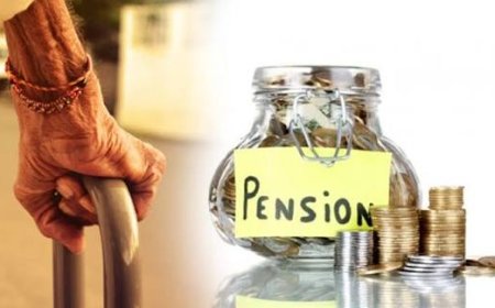 नवम्बर से पहले दस्तावेज जमा नहीं होने पर पेंशन होगी रुकने का खतरा - महत्वपूर्ण जानकारी