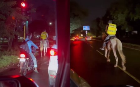 Viral Video: बाइक-स्कूटर छोड़ बंदे ने घोड़े पर सवारी करते हुए शुरू की डिलीवरी सर्विस, देखें वीडियो