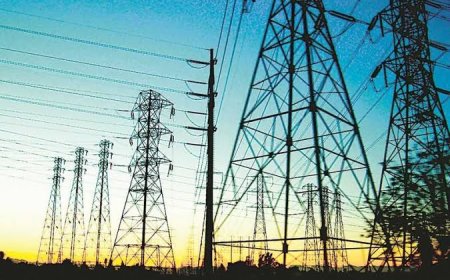 Uttarakhand News: बिजली की सुचारू आपूर्ति के लिए पिटकुल एमडी ध्यानी करते रहे देर रात तक निगरानी।