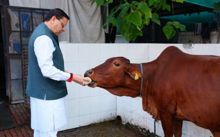 देहरादून : सीएम पुष्कर धामी ने गोवर्धन पूजा के अवसर पर गौ माता की पूजा…