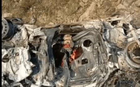 खाई में गिरने से कार में लगी आग से तीन की मौत