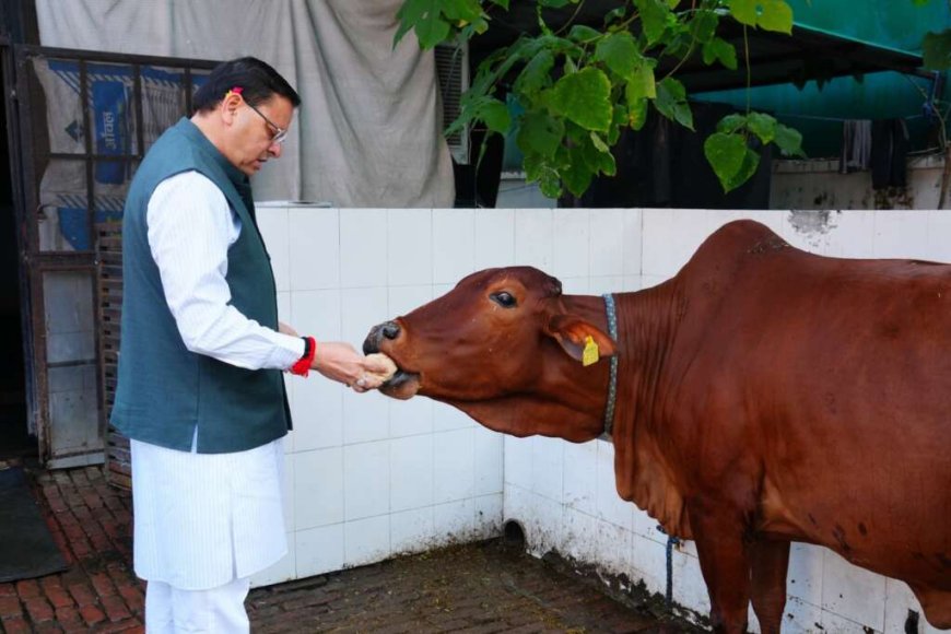 देहरादून : सीएम पुष्कर धामी ने गोवर्धन पूजा के अवसर पर गौ माता की पूजा…