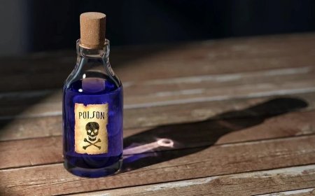 नाबालिग छात्रा ने की स्कूल बस चालक से शादी, बाद में दोनों ने खाया जहर