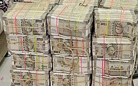 केरल : वायनाड में बस यात्री से 1.2 करोड़ रुपये की नकदी जब्त