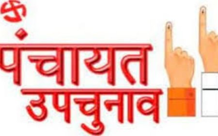 उत्तराखंड की त्रिस्तरीय पंचायतों में 20 नवंबर को उपचुनाव, 33 हजार से अधिक पदों पर मतदान की तैयारी तेज