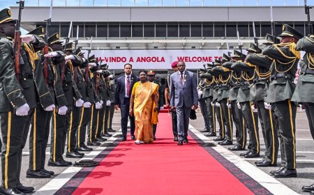 Droupadi Murmu Botswana Visit | भारत आ रहे 8 चीते! राष्ट्रपति मुर्मू की बोत्सवाना यात्रा से 'प्रोजेक्ट चीता' को मिला बूस्ट