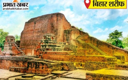 योग से मिलता है आरोग्य और आनंद की राह : प्रो सिद्धार्थ