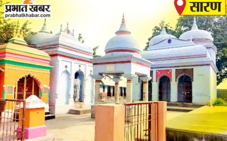 saran news. आपराधिक गतिविधियों व आदेशों की अवहेलना पर सिपाही बर्खास्त